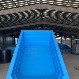 Piscina Rectangular 5,1 x 3,1  Prof. (1,0 a 1,5)